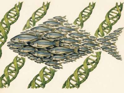 Little fish, big waves