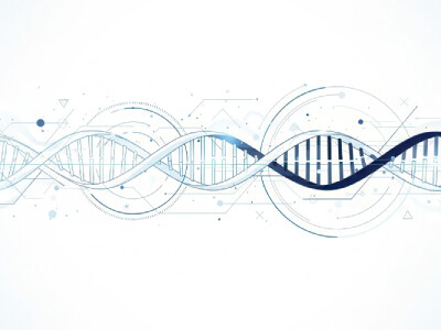 Refining the molecular blueprint of in vivo CAR-T
