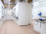 Cell & Gene Therapy Products and Services