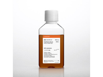 Fetal Bovine Serum, 500 mL, Australian Origin